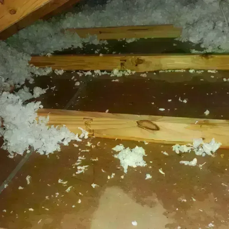 Attic Water Damage in Glen Oaks, NY